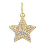 DIAMOND STAR CHARM